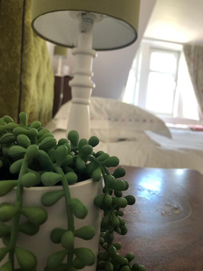 Oleanders Bnb EDI Kültér fotó